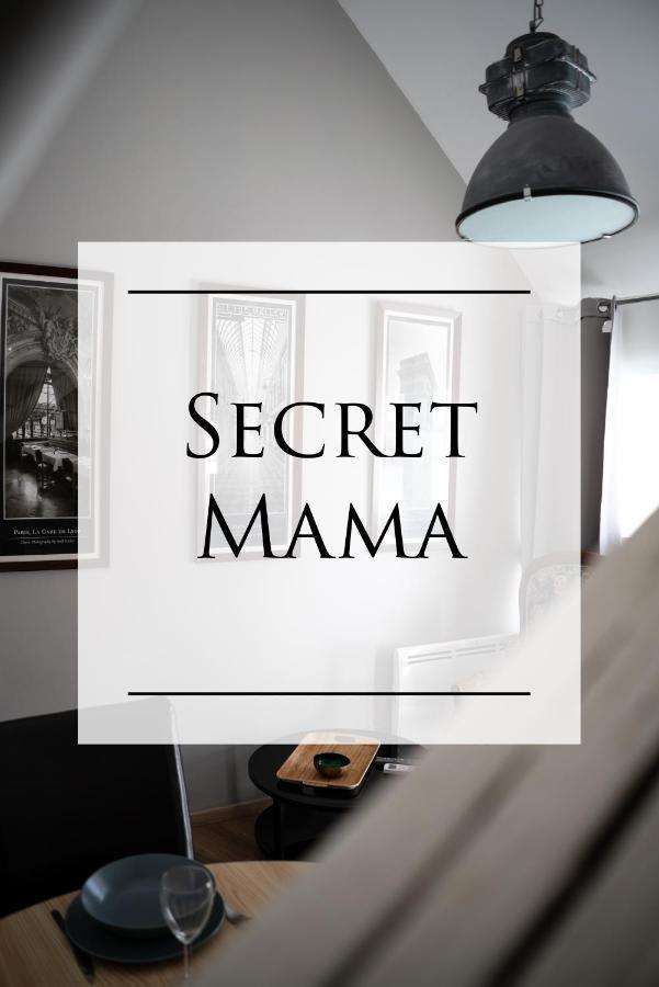 Secret Mama With Aircon 150 Meters From Parking Rapp Leilighet Colmar Eksteriør bilde